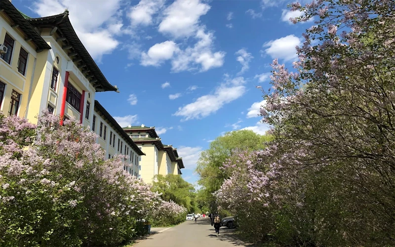The external environment of the university