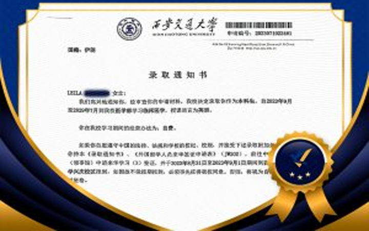 Language proficiency (English or Chinese)
