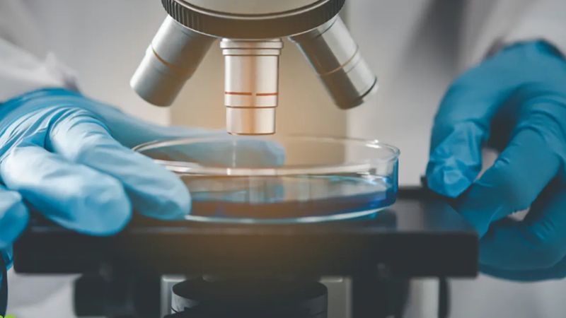 شرایط پذیرش دانشجویان بینالمللی در رشته میکروبیولوژی در چین