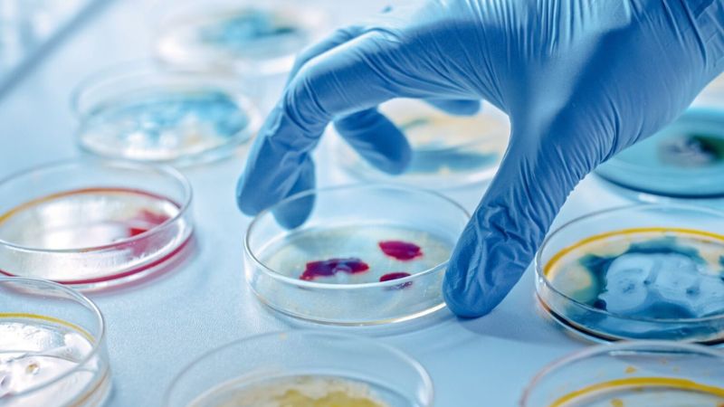 مزایای تحصیل در رشتهی میکروبیولوژی در چین